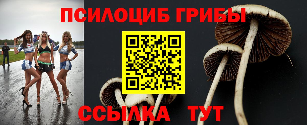 Ступино  Псилоцибиновые грибы Psilocybine cubensis  где продают   Вход с VPN 